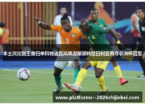 本土沉沦到王者归来科特迪瓦凤凰涅槃逆转尼日利亚勇夺非洲杯冠军