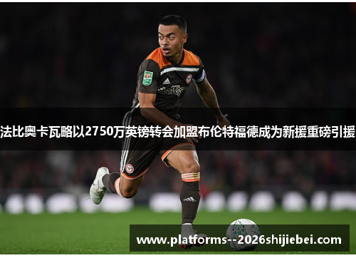 法比奥卡瓦略以2750万英镑转会加盟布伦特福德成为新援重磅引援