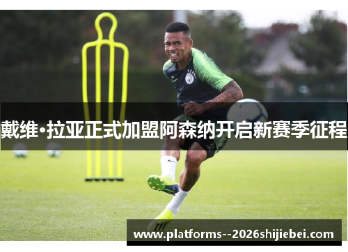 戴维·拉亚正式加盟阿森纳开启新赛季征程