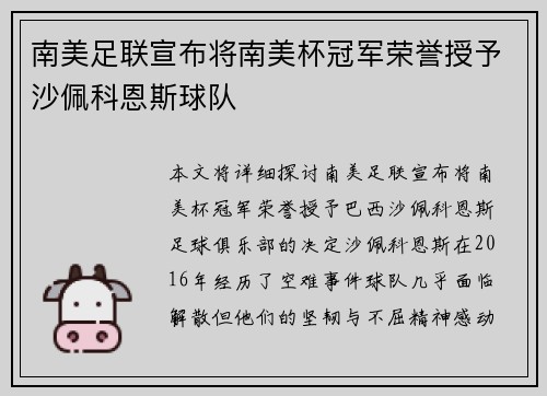 南美足联宣布将南美杯冠军荣誉授予沙佩科恩斯球队